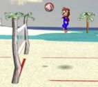 Mario Voleybol Oyunu