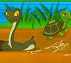 Su Kaplumbağası Oyunu